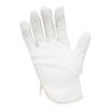 Antistat 600-0642 ESD Glove Vinyl Powder-Free 12" L 100 pcs ESD-Safe
