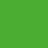 PL0502011 Permanent vinyl film - 31.5 cm x 1 m - light green