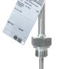 Endress+Hauser Czujnik temperatury PT100 długość 100 mm średnica 6 mm 650 °C żyły 4 Class A
