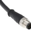 Przewód czujnik-siłownik ze złączem Złącze M12 liczba rdzeni 8 długość 2m Rodzaj A Męskie