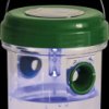 66643 Solar Insect Trap