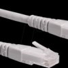 21150931 Patch cable Cat. 6, UTP, grey, 1 m