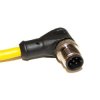 Mueller Electric Kabel siłownika czujnika Złącze A Złącze M12 5 długość 10 m Rodzaj A Męski Złącze B Niezakończony