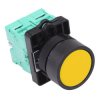 Techna PtecPNYellow Yellow Flush Push Button Switch 10A 2NO