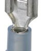 Insulated flat plug sleeve with branch, 6.3 x 0.8 mm, 1.5-2.5 mm², AWG 16-14, brass, blue, 3240530