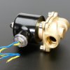 Brass Liquid Solenoid Valve - 12V - 1/2 NPS