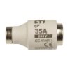 Wkładka bezpiecznikowa 35A DIII gF / BiWts 500V E33 002313101