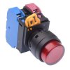 YW1L-M2E11Q3R Red 12V illuminated 22mm Momentary Push Button Switch 1NO-1NC IP65 IDEC