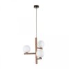 Lampa sufitowa do salonu ESTERA WOOD ORZECH, szklane klosze na G9 10271 TK Lighting