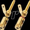 BP-270G Monacor LS pole terminal, pair