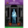 (5.5 ft x 9 ft) Gray Holographic Rear Projection Screen with Mounting
