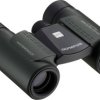 Olympus Lornetka Fernglas 10 x 21 mm dachowy V501014DE000
