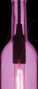 3774 Bottle pendant pourpre