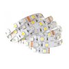 Taśma LED SMD5050 RGB+CW Rolka 5m, RGBW 300LED biały zimny, IP20