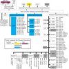 16/32 Bit RISC Flash MCU, Cortex R4F, Auto Q100 | PGE | 144 | -40 to 125