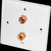 206437 LS wall connection panel, 2 banana sockets