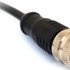 Sensor actuator cable, M12-cable socket, straight to open end, 5 pole, 2 m, PUR, black, 4 A, PXPTPU12FBF05BCL020PUR