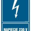 ZNAK - HG008 Napięcie 230 V 70 x 105 cm FN - Folia samoprzylepna