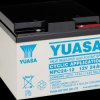 NPC24-12I Lead-fleece battery, 12 V, 24 Ah, cycle-proof