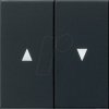 0294005 Rocker switch, arrow, two-way, matt black