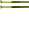TS Śruba z dwoma otworami M3 5 x 50 mm złoty WZA9092 HAGER