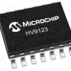 HV9123NG-G-M901