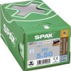 SPAX 0537000500503 R 88192 Zylinderkopf T-STAR Wkręt do drewna 5 mm 50 mm T-STAR plus stal nierdzewna A2 200 szt.