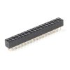 Straight Header - Female (PTH, 0.1in., 2x18-Pin)