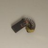 SZCZOTKA ELEKTRYCZNA 5x8x14.1 br s
