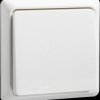 502104 Push button, 10A, 1 NO, RENOVATION, plug-in terminal, pure white
