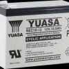 REC10-12 Lead-fleece battery, 12 V, 10 Ah, cycle-proof