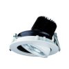 Reflektor sufitowy LED DOTLUX 2442-040040
