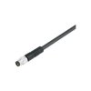 Binder 79 3805 42 08 Male 8 Pin Moulded Terminal 8 x .25mm2 PVC 2m Cable