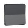 MUREVA STYL Wyłącznik dwupolowy IP55 antracyt MUR35034 SCHNEIDER ELECTRIC