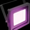51914958 LED IP FL-30 SMD purple