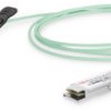 Digitus DN-81621 DN-81621 Kabel 100 GBit/s 1 m