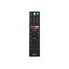 Pilot DO TV SONY RMF-TX300U / RMF-TX310U VOICE NETFLIX GOOGLE / LxTX310U