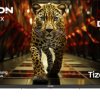 Telewizor LCD 32 cal Dyon Ultimax 32F-TI, Full HD (1920 x 1080 Pixel), 60 Hz