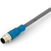 Zespół Kablowy ze złączem Złącze M12 długość 1.5m Rodzaj A Męskie Złącze B Złącze M12