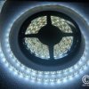 TAŚMA LED 5050 300LED/5m 12V BIAŁY ZIMNY STANDARD (NIEWODOODPORNA)