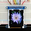 Adafruit 1.44