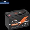 Lithium-Akku, LiFePO4, 12,8 V, 100 Ah, Basic
