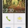 Emporia SMART.3 16 GB czarny 14 cm (5.5 cal) Smartfon dla seniorów Dual-SIM