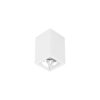 Lampa natynkowa LED Brumberg 42641175DA 7 W 873 lm biały