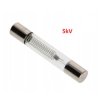 5kV Microwave Oven Fuse