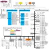 16/32 Bit RISC Flash MCU, Cortex R4F, Auto Q100, Flexray | PGE | 144 | -40 to 125