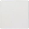 Siemens 5TG7141 Delta blanking plate white dark oak 62x62mm