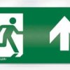 ESYLUX EN10033230 Piktogram wyjście awaryjne w górę