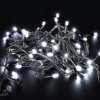 PREMIUM-CONN CHAIN 50LED 5M-BLACK IP44