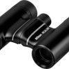 Nikon Lornetka Aculon T02 10X21 Nero 10 x 21 mm dachowy czarny BAA861WA